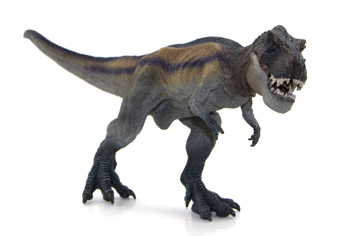 Le tyrannosaure rex, le plus effroyable des dinosaures ayant foulé la terre est disponible aux Jouets des Gobelins. Saurez-vous le dompter ?